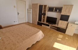 Garsoniera semidecomandata, 27mp, Brazda lui Novac