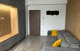 Apartament 2 camere modern, centrala, AC, parcare, prima inchiriere, zona Brazda