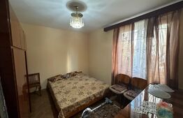 Apartament cu 2 camere, pet friendly, zona Calea Severnului