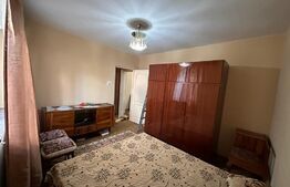 Apartament cu 2 camere, pet friendly, zona Calea Severnului
