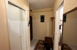 Apartament cu 2 camere, pet friendly, zona Calea Severnului