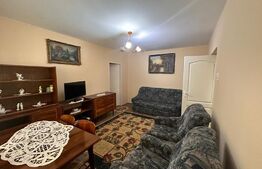 Apartament cu 2 camere, pet friendly, zona Calea Severnului