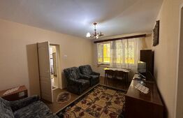 Apartament cu 2 camere, pet friendly, zona Calea Severnului