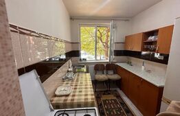 Apartament cu 2 camere, pet friendly, zona Calea Severnului