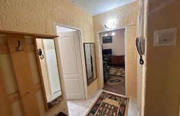 Apartament cu 2 camere, pet friendly, zona Calea Severnului