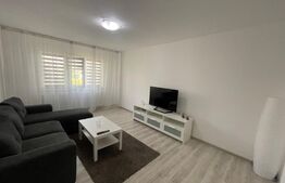 Apartament 2 camere lux, prima inchiriere, Brazda lui Novac