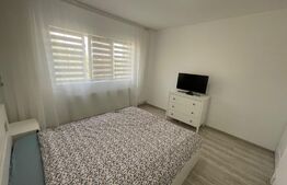 Apartament 2 camere lux, prima inchiriere, Brazda lui Novac
