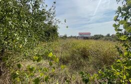 Teren intravilan 1500 mp,zona Carcea Pelendava