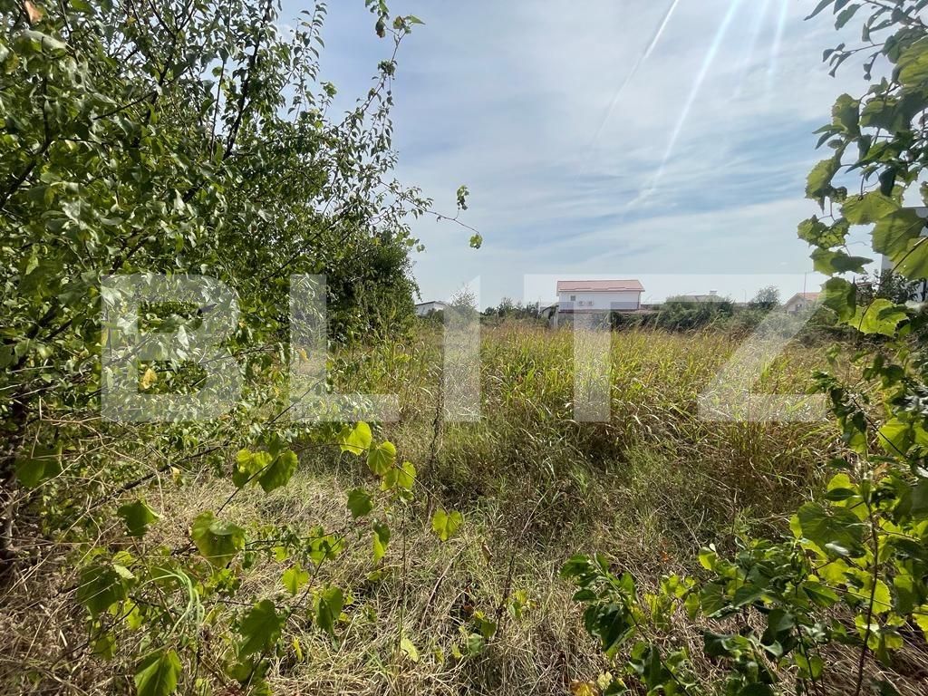 Teren de vânzare Carcea  - 127236TV | BLITZ Craiova | Poza2