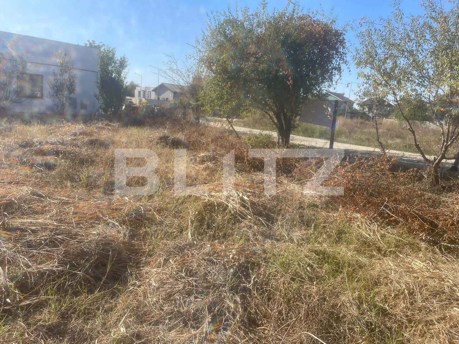 Teren de vânzare Carcea  - 127236TV | BLITZ Craiova | Poza3