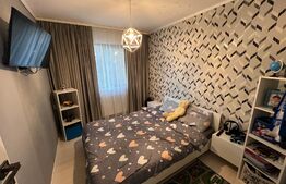 Apartament 3 camere, Cartierul Rovine, zona Profi