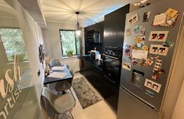 Apartament 3 camere, Cartierul Rovine, zona Profi