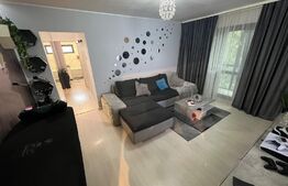 Apartament 3 camere, Cartierul Rovine, zona Profi