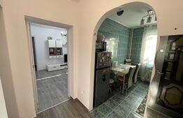 Apartament 2 camere aer conditionat, Brazda lui Novac, zona Rocca