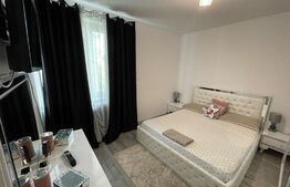 Apartament 2 camere aer conditionat, Brazda lui Novac, zona Rocca