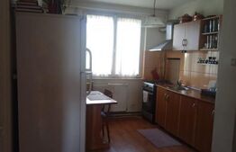 Apartamentul bilateral decomandat cu 2 camere, cu o suprafață de 49 mp, zona Calea Severinului