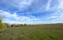 Teren intravilan 90.006 mp, front de 490 m, toate utilitățile, Pielești