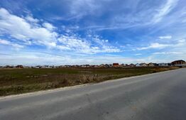 Teren intravilan 90.006 mp, front de 490 m, toate utilitățile, Pielești