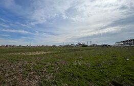 Teren intravilan 90.006 mp, front de 490 m, toate utilitățile, Pielești