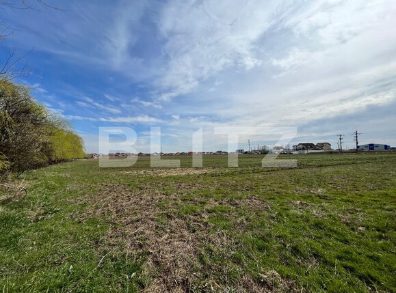 Teren de vânzare Pielești - 127368TV | BLITZ Craiova | Poza9