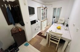 Apartament la cheie, 2 camere, zona Brazda lui Novac - ideal pentru familie