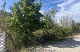 Teren 717mp, in Leamna de Jos