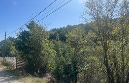 Teren 717mp, in Leamna de Jos