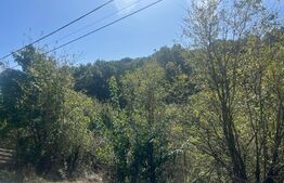 Teren 717mp, in Leamna de Jos