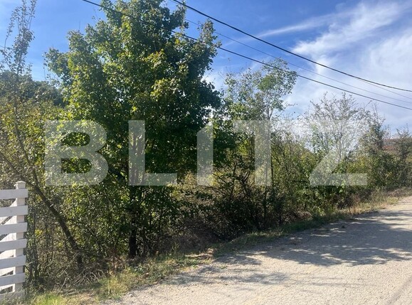 Teren de vânzare Leamna de Jos - 127512TV | BLITZ Craiova | Poza3