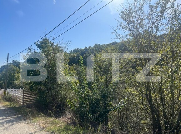 Teren de vânzare Leamna de Jos - 127512TV | BLITZ Craiova | Poza1