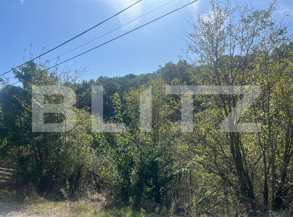 Teren de vânzare Leamna de Jos - 127512TV | BLITZ Craiova | Poza2