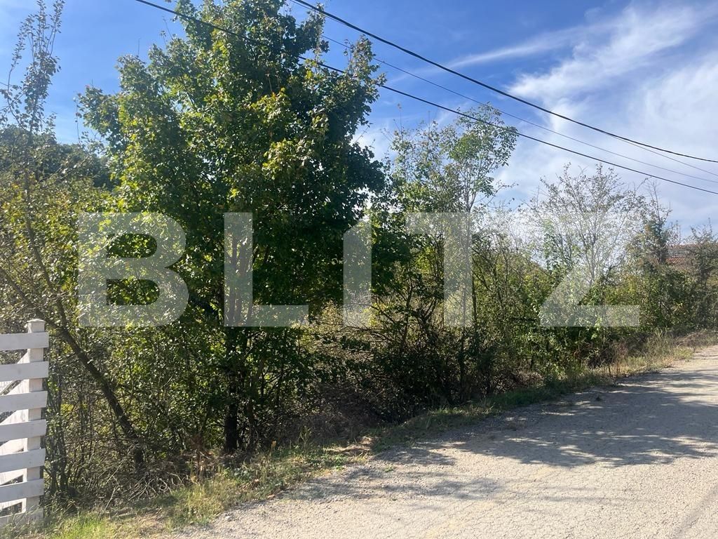 Teren de vânzare Leamna de Jos - 127512TV | BLITZ Craiova | Poza3