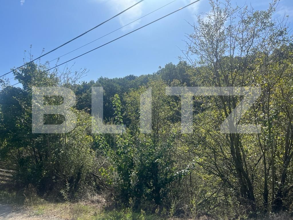 Teren de vânzare Leamna de Jos - 127512TV | BLITZ Craiova | Poza2