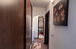 Apartament 3 camere Craiovița