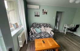 Apartament semidecomandat de lux, 2 camere, pe Calea București, zona Nanterre