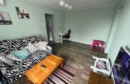 Apartament semidecomandat de lux, 2 camere, pe Calea București, zona Nanterre