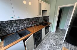 Apartament semidecomandat de lux, 2 camere, pe Calea București, zona Nanterre