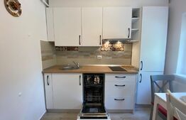 Garsoniera tip studio, centrală proprie, cartierul 1 Mai