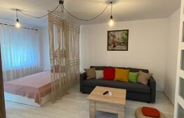 Garsoniera tip studio, centrală proprie, cartierul 1 Mai
