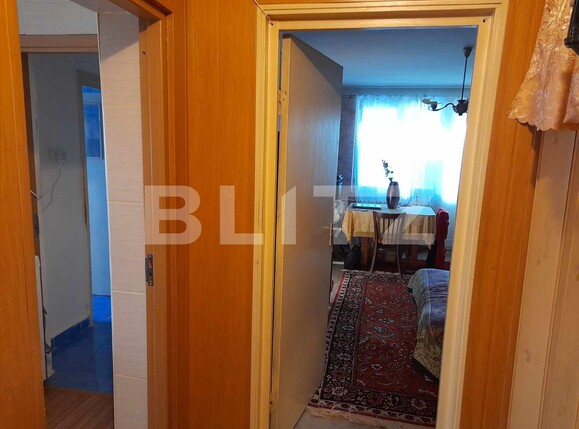 Apartament de vânzare 2 camere Calea Bucuresti - 127659AV | BLITZ Craiova | Poza9