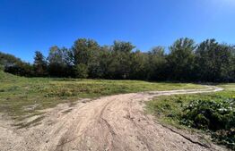 Parcele de pădure, 62 ha, localitatea Bucovăț