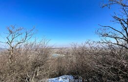 Parcele de pădure, 62 ha, localitatea Bucovăț