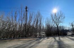 Parcele de pădure, 62 ha, localitatea Bucovăț