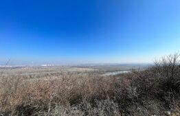 Parcele de pădure, 62 ha, localitatea Bucovăț