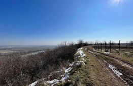 Parcele de pădure, 62 ha, localitatea Bucovăț