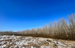 Parcele de pădure, 62 ha, localitatea Bucovăț