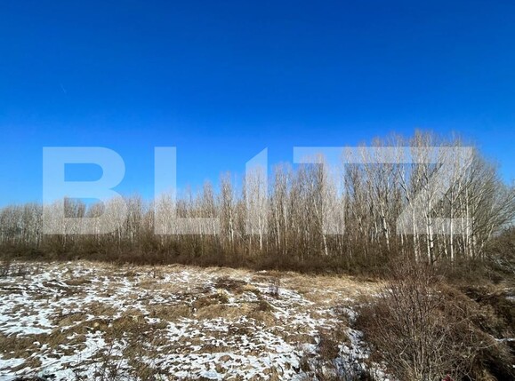 Teren de vânzare Bucovat - 127710TV | BLITZ Craiova | Poza1