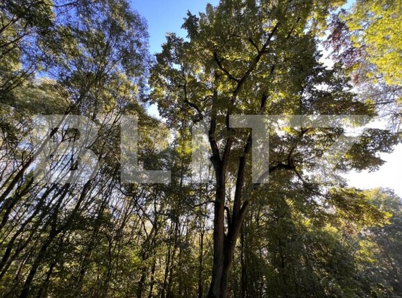 Teren de vânzare Bucovat - 127710TV | BLITZ Craiova | Poza11