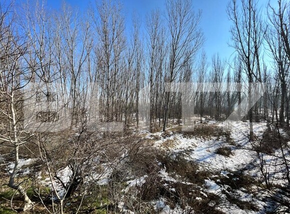 Teren de vânzare Bucovat - 127710TV | BLITZ Craiova | Poza10