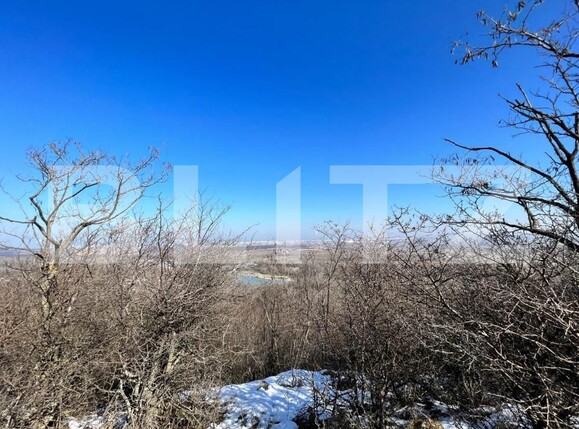 Teren de vânzare Bucovat - 127710TV | BLITZ Craiova | Poza8